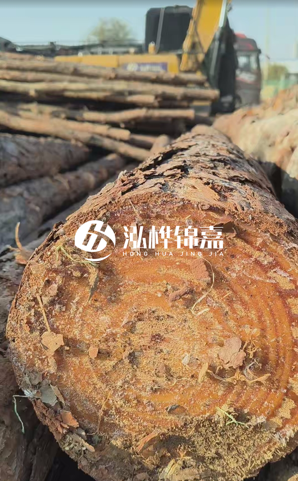 杉木樁價(jià)格多少錢一方-3米直徑14公分杉木樁價(jià)格？